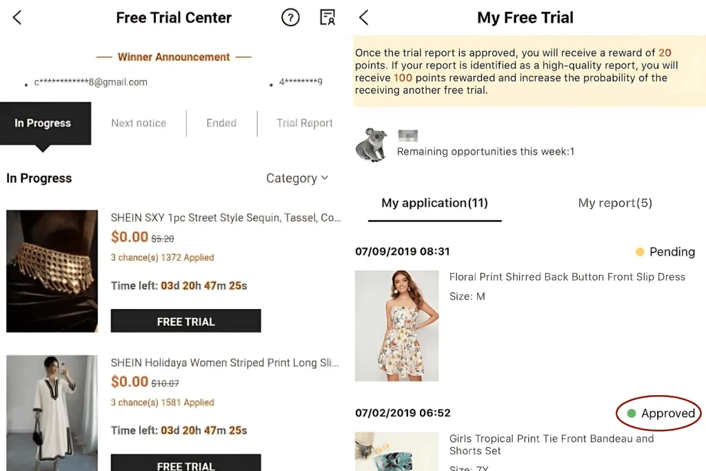 Shein Testing Program